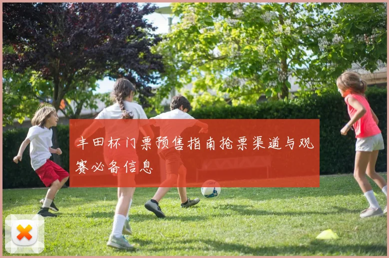 丰田杯门票预售指南抢票渠道与观赛必备信息