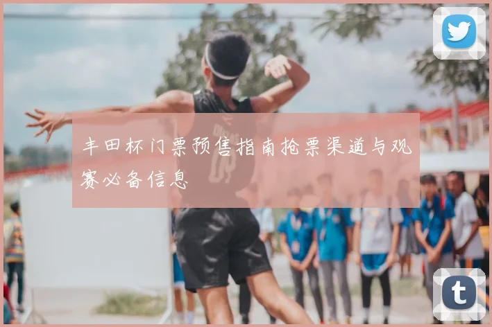 丰田杯门票预售指南抢票渠道与观赛必备信息